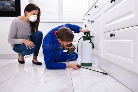 Best Indoor Pest Control  in Comstock Northwest, MI